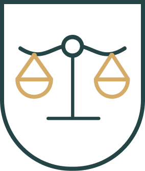 Criminal Law Icon Color