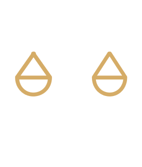 Criminal Law Icon White